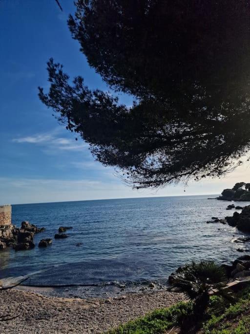 T2 Neuf, Parking Prive,Acces Mer Bandol Exterior photo